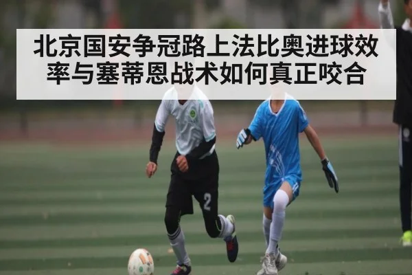 北京国安争冠路上法比奥进球效率与塞蒂恩战术如何真正咬合（NG28）